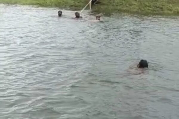 एक युवक की नहर में गिरने व दूसरे की पगारा में डूबने से मौत