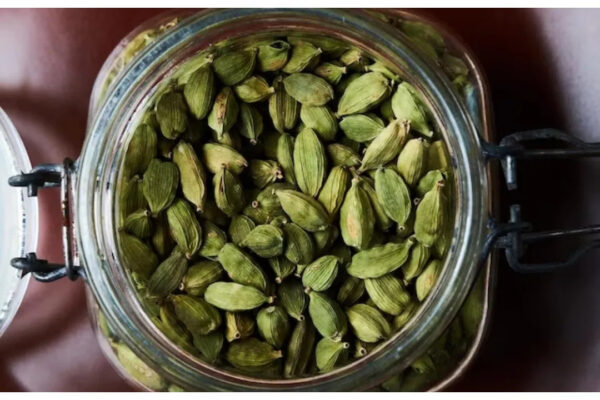 बढ़ते वजन को कंट्रोल करने से लेकर पाचन को दुरुस्त रखने तक, जानें इलायची के बेहतरीन फायदे