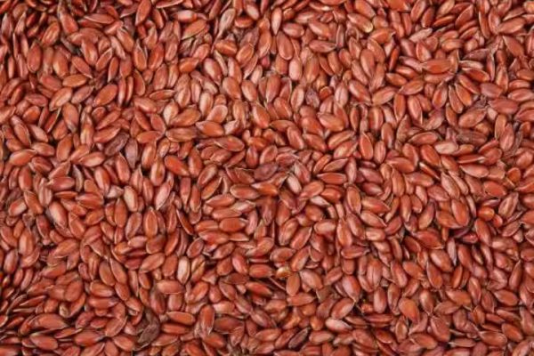 हलीम का बीज क्या है? इसको पोषक तत्वों का भंडार क्यों कहा जाता है